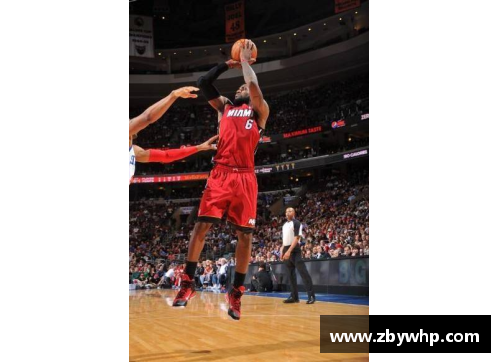 天博克罗地亚NBA球员宠物护理全解析 - 副本