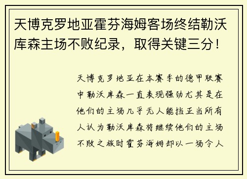 天博克罗地亚霍芬海姆客场终结勒沃库森主场不败纪录，取得关键三分！